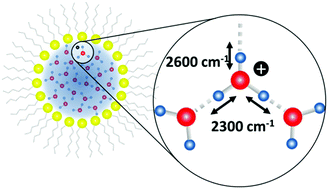 Graphical abstract: Nature of hydrated proton vibrations revealed by nonlinear spectroscopy of acid water nanodroplets