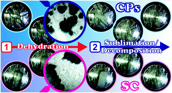 Graphical abstract: Kinetics of contracting geometry-type reactions in the solid state: implications from the thermally induced transformation processes of α-oxalic acid dihydrate