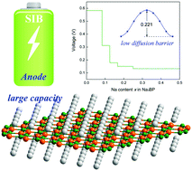 Graphical abstract: Borophosphene as a promising Dirac anode with large capacity and high-rate capability for sodium-ion batteries