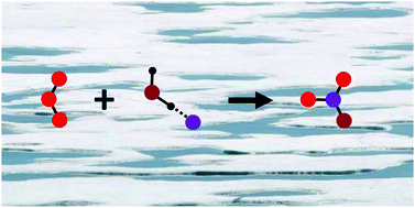 Graphical abstract: The reaction of isotope-substituted hydrated iodide I(H182O)− with ozone: the reactive influence of the solvent water molecule