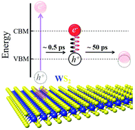 Graphical abstract: Ultrafast dynamics of exciton formation and decay in two-dimensional tungsten disulfide (2D-WS2) monolayers