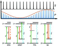 Graphical abstract: Double modulation SRS and SREF microscopy: signal contributions under pre-resonance conditions