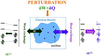 Graphical abstract: A statistical thermodynamics view of electron density polarisation: application to chemical selectivity