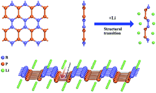 Graphical abstract: Enhanced ion diffusion induced by structural transition of Li-modified borophosphene