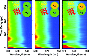 Graphical abstract: Ultrafast acoustic vibrations of Au–Ag nanoparticles with varying elongated structures