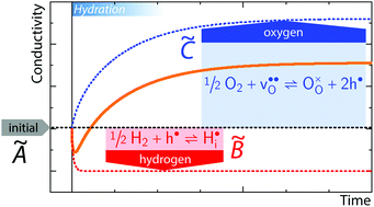 Graphical abstract: A quantitative analysis of two-fold electrical conductivity relaxation behaviour in mixed proton–oxide-ion–electron conductors upon hydration