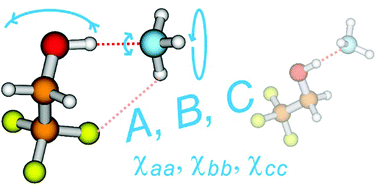 Graphical abstract: Structural and dynamical features of the 2,2,2-trifluoroethanol⋯ammonia complex