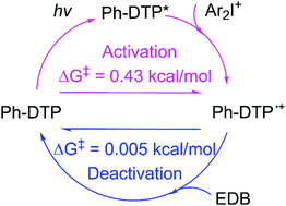 Graphical abstract: The photocatalytic mechanism of organic dithienophosphole derivatives as highly efficient photo-redox catalysts