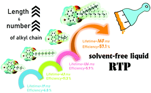 Graphical abstract: Tunable lifetimes and efficiencies of room temperature phosphorescent liquids by modulating the length and number of alkyl chains