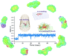 Graphical abstract: Computational insights into the sorption mechanism of environmental contaminants by carbon nanoparticles through molecular dynamics simulation and density functional theory