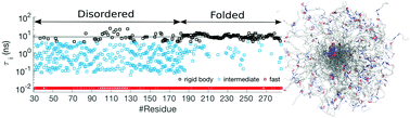 Graphical abstract: Heterogeneous dynamics in partially disordered proteins