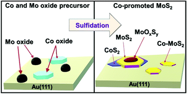 Graphical abstract: Simultaneous sulfidation of Mo and Co oxides supported on Au(111)