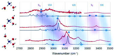 Graphical abstract: Anharmonic coupling behind vibrational spectra of solvated ammonium: lighting up overtone states by Fermi resonance through tuning solvation environments