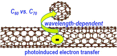 Graphical abstract: Photoinduced electron transfer from carbon nanotubes to fullerenes: C60versus C70