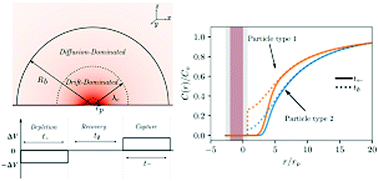 Graphical abstract: An efficient kinetic Monte Carlo to study analyte capture by a nanopore: transients, boundary conditions and time-dependent fields
