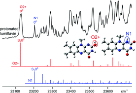 Graphical abstract: Vibronic optical spectroscopy of cryogenic flavin ions: the O2+ and N1 tautomers of protonated lumiflavin