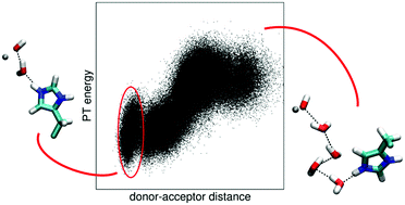 Graphical abstract: Cooperative protein–solvent tuning of proton transfer energetics: carbonic anhydrase as a case study