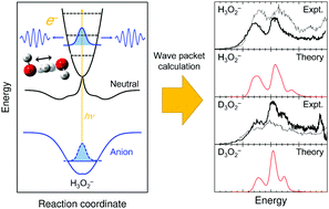 Graphical abstract: Franck–Condon simulations of transition-state spectra for the OH + H2O and OD + D2O reactions