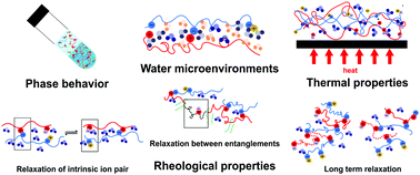 Graphical abstract: Emerging trends in the dynamics of polyelectrolyte complexes