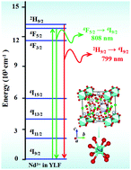 Graphical abstract: Unraveling the local structure and luminescence evolution in Nd3+-doped LiYF4: a new theoretical approach