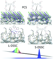 Graphical abstract: Impact of improvements in mesoporous titania layers on ultrafast electron transfer dynamics in perovskite and dye-sensitized solar cells