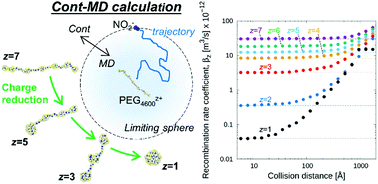 Graphical abstract: The charge reduction rate for multiply charged polymer ions via ion–ion recombination at atmospheric pressure