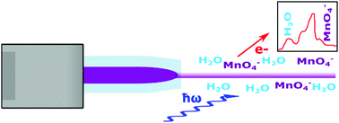 Graphical abstract: The electronic structure of the aqueous permanganate ion: aqueous-phase energetics and molecular bonding studied using liquid jet photoelectron spectroscopy