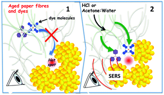 Graphical abstract: Spotting aged dyes on paper with SERS