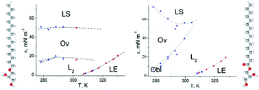 Graphical abstract: Influence of linkage type (ether or ester) on the monolayer characteristics of single-chain glycerols at the air–water interface