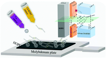 Graphical abstract: Modification of an ultrathin C60 interlayer on the electronic structure and molecular packing of C8-BTBT on HOPG