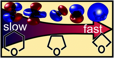 Graphical abstract: VUV excited-state dynamics of cyclic ethers as a function of ring size