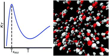 Graphical abstract: Nuclear quantum effects on the thermodynamic, structural, and dynamical properties of water