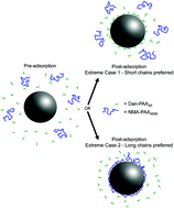 Graphical abstract: Theory and experiment of chain length effects on the adsorption of polyelectrolytes onto spherical particles: the long and the short of it