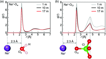 Graphical abstract: Local structure of a highly concentrated NaClO4 aqueous solution-type electrolyte for sodium ion batteries