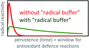 Graphical abstract: Addition of carbon-centered radicals to aromatic antioxidants: mechanistic aspects