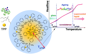 Graphical abstract: Experimental evidence of co-existence of equilibrium and nonequilibrium in two-glass-transition miscible mixtures