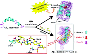 Graphical abstract: An α-helix mimetic oligopyridylamide, ADH-31, modulates Aβ42 monomer aggregation and destabilizes protofibril structures: insights from molecular dynamics simulations