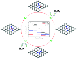 Graphical abstract: A theoretical study of atomically dispersed MN4/C (M = Fe or Mn) as a high-activity catalyst for the oxygen reduction reaction