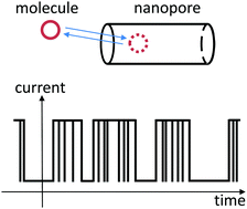 Graphical abstract: Capturing single molecules by nanopores: measured times and thermodynamics