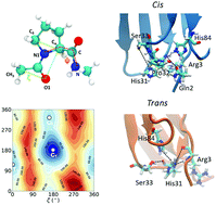 Graphical abstract: Proline isomerization effects in the amyloidogenic protein β2-microglobulin