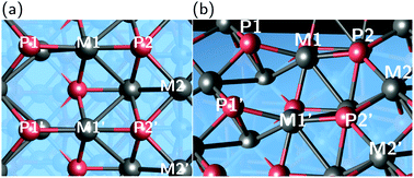 Graphical abstract: First-principles investigation of the hydrogen evolution reaction of transition metal phosphides CrP, MnP, FeP, CoP, and NiP