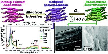 Graphical abstract: How to reprogram the excitonic properties and solid-state morphologies of π-conjugated supramolecular polymers