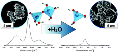 Graphical abstract: Influence of soluble oligomeric aluminum on precipitation in the Al–KOH–H2O system