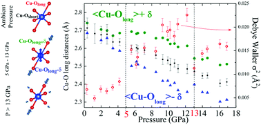 Graphical abstract: Interplay between local structure, vibrational and electronic properties on CuO under pressure