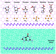 Graphical abstract: Interactions of selected organic molecules with a blue phosphorene monolayer: self-assembly, solvent effect, enhanced binding and fixation through coadsorbed gold clusters