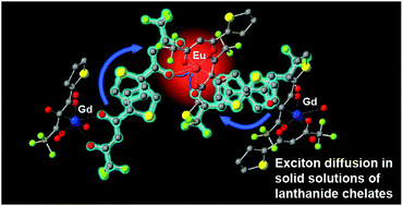 Graphical abstract: Exciton diffusion in solid solutions of luminescent lanthanide β-diketonates