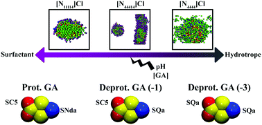 Graphical abstract: Using coarse-grained molecular dynamics to rationalize biomolecule solubilization mechanisms in ionic liquid-based colloidal systems