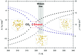 Graphical abstract: Diffusion of the carbon dioxide–ethanol mixture in the extended critical region