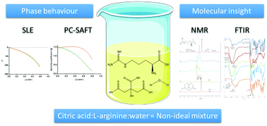 Graphical abstract: Unravelling the nature of citric acid:l-arginine:water mixtures: the bifunctional role of water