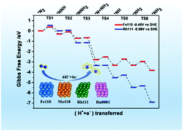 Graphical abstract: A thermodynamic and kinetic study of the catalytic performance of Fe, Mo, Rh and Ru for the electrochemical nitrogen reduction reaction